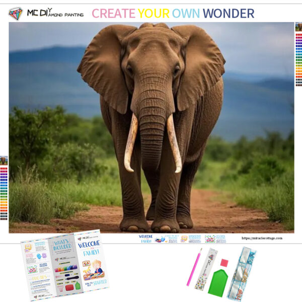 The Elephant And The Dream